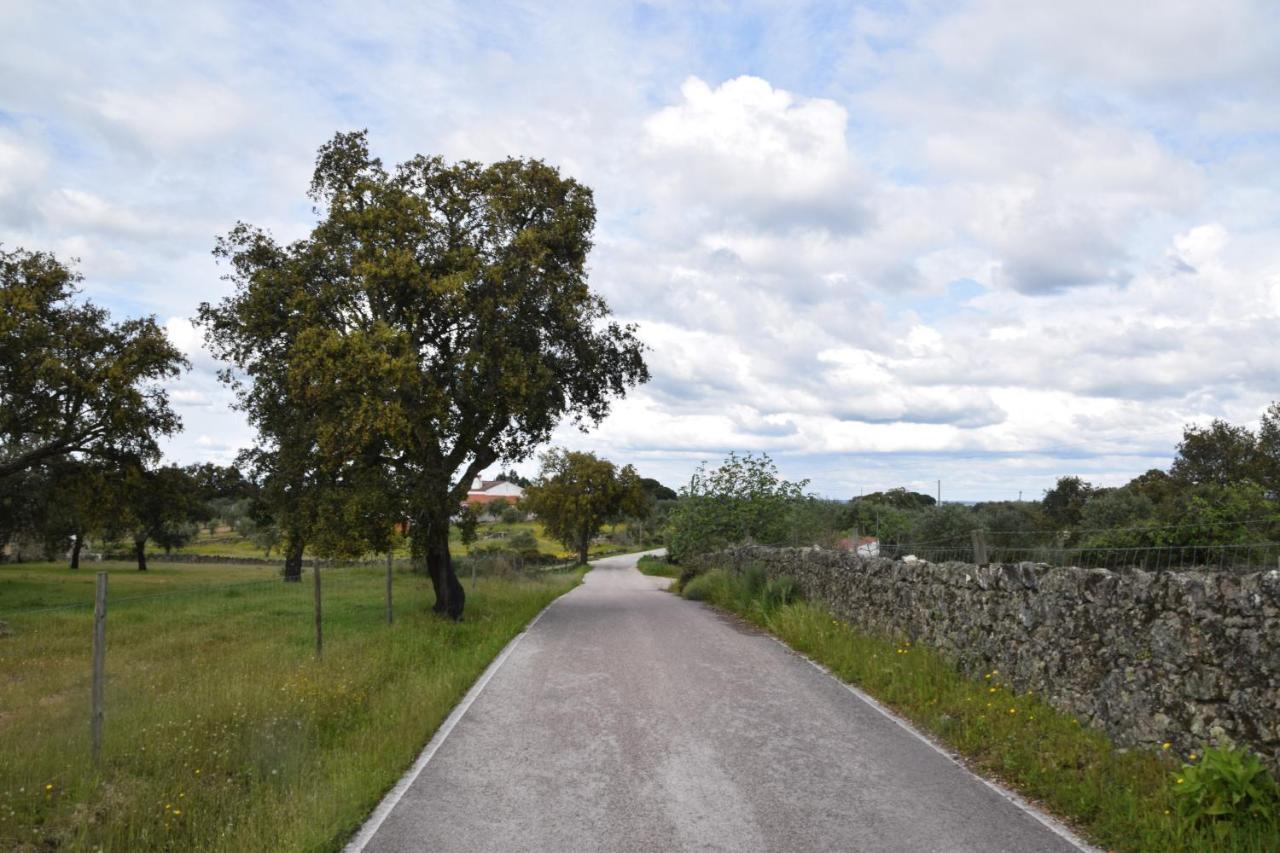 Casinha Da Povoa -Turismo Aldeia Villa Castelo de Vide Eksteriør billede